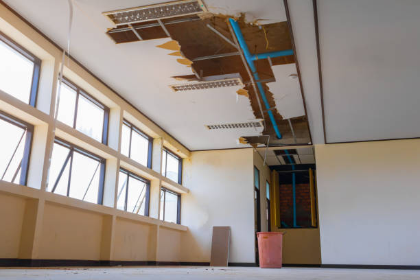  Fowler, MI Water damage restoration Pros