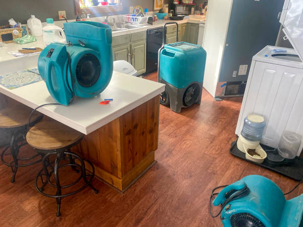 Best Mold removal after water damage  in Fowler, MI