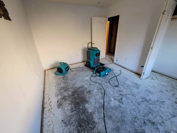 Best Emergency water extraction  in Fowler, MI