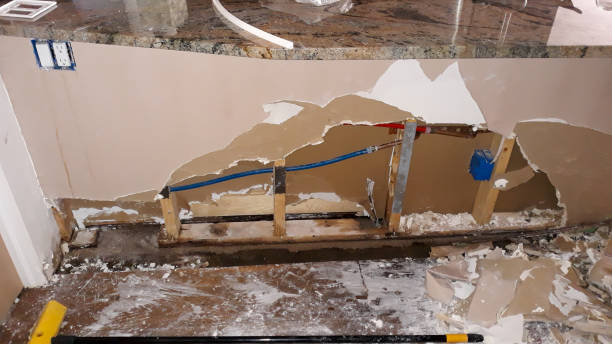 Best Flood restoration services  in Fowler, MI