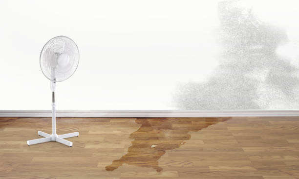 Best Flooded house restoration  in Fowler, MI