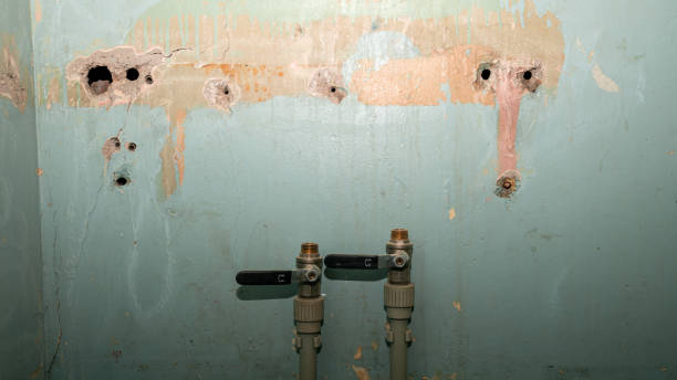 Best Ceiling water damage repair  in Fowler, MI