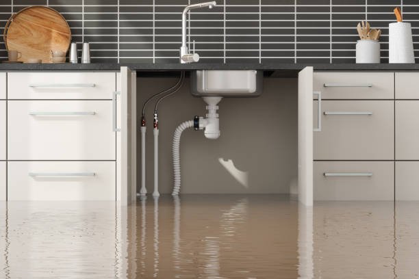 Best Mold removal after water damage  in Fowler, MI
