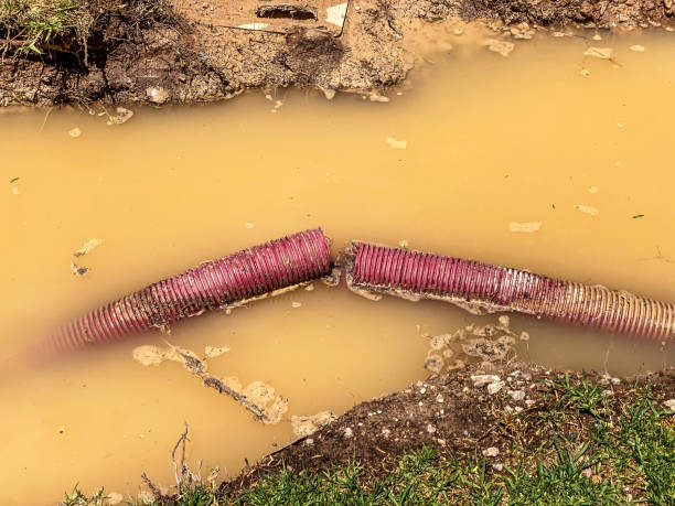 Best Water damage cleanup near me  in Fowler, MI