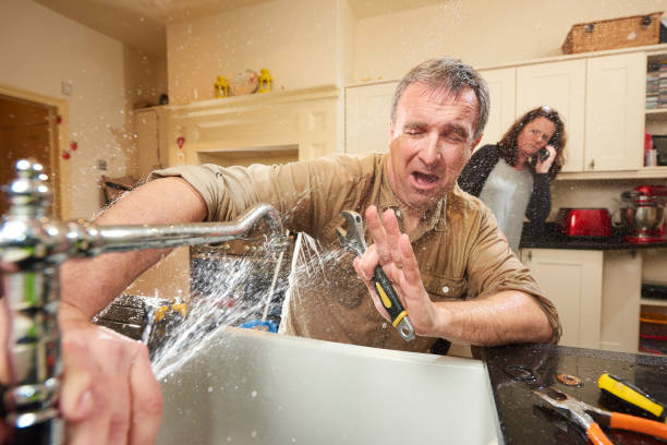 Best Sewage cleanup and water damage restoration  in Fowler, MI